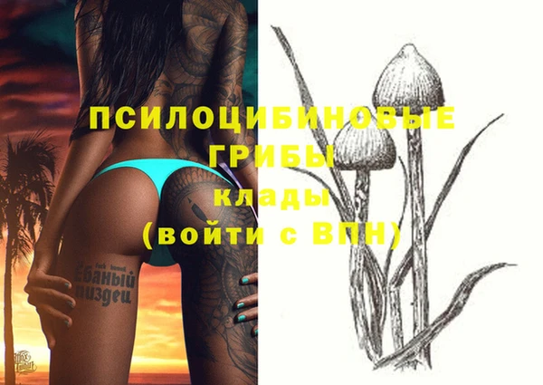 jwh Магас
