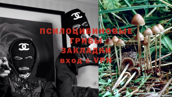 тгк Майский