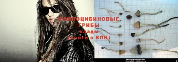 тгк Майский