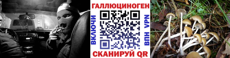 Галлюциногенные грибы Psilocybine cubensis  наркота  Ермолино 